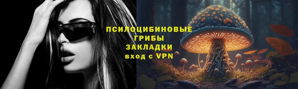 2c-b Ельня