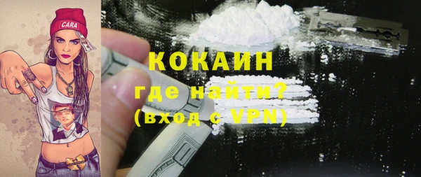 2c-b Ельня