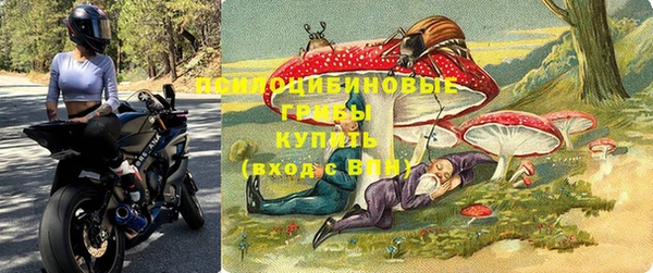 2c-b Ельня