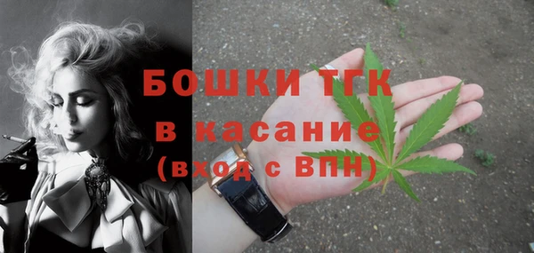 2c-b Ельня