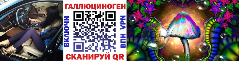 где можно купить   Каргополь  blacksprut ссылки  Псилоцибиновые грибы мухоморы 